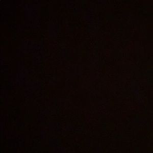 Meet your Posher, Brady